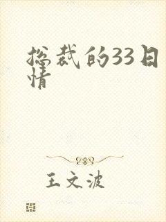 总裁的33日索情封面