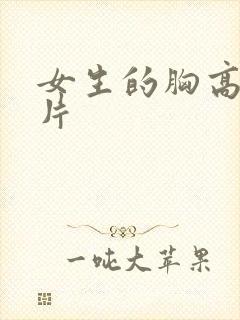 女生的胸高清图片封面