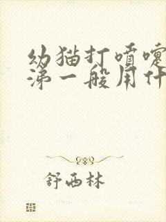 幼猫打喷嚏流鼻涕一般用什么药