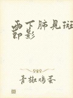 两下肺见斑片结节影