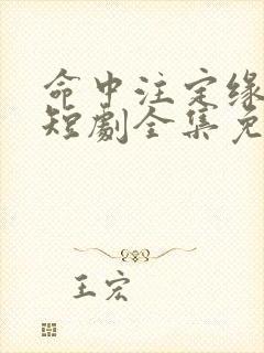 命中注定缘归来短剧全集免费观看封面