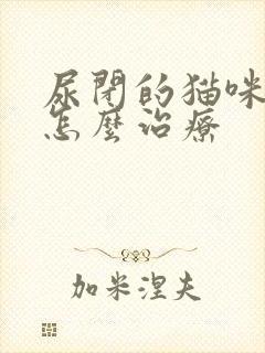 尿闭的猫咪在家怎么治疗封面