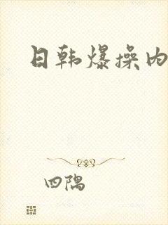 日韩爆操内射
