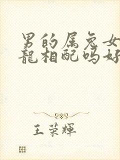 男的属兔女的属龙相配吗好吗封面