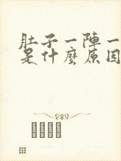 肚子一阵一阵痛是什么原因封面