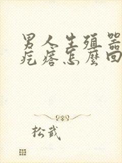 男人生殖器里有疙瘩怎么回事封面