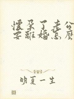 怀孕了老公坚持要离婚怎么办封面