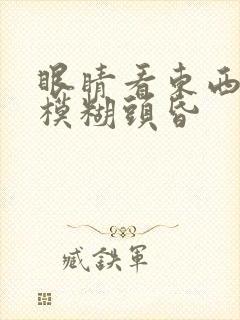 眼睛看东西很累模糊头昏封面