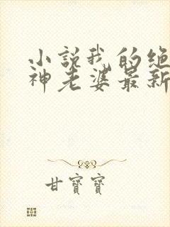 小说我的绝美女神老婆最新章节