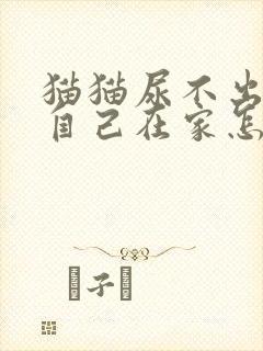 猫猫尿不出尿,自己在家怎么能缓解封面