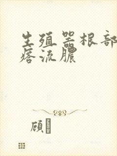 生殖器根部长疙瘩流脓