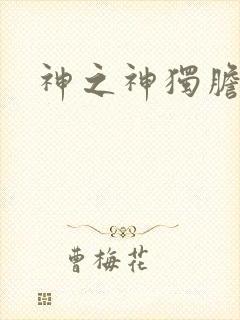 神之神独胆王