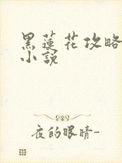 黑莲花攻略手册小说