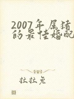 2007年属猪的最佳婚配属相封面