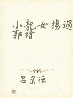 小龙女杨过黄蓉郭靖