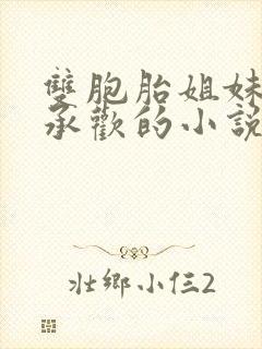 双胞胎姐妹轮流承欢的小说