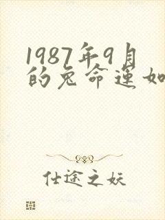 1987年9月的兔命运如何