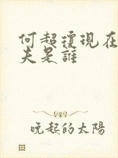 何超琼现在的丈夫是谁