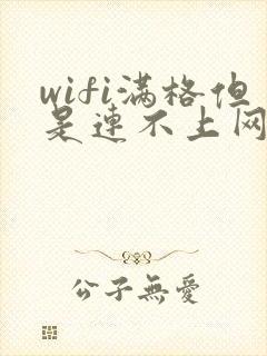 wifi满格但是连不上网