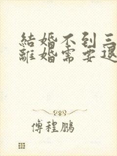 结婚不到三个月离婚需要退彩礼吗