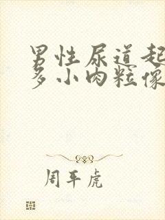 男性尿道起了好多小肉粒像小米粒封面