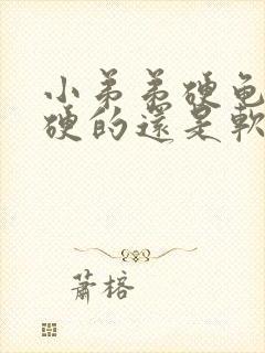 小弟弟硬龟头是硬的还是软的