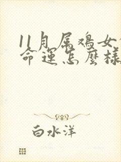 11月属鸡女的命运怎么样