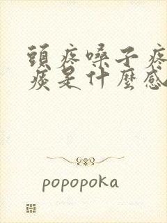 头疼嗓子疼有黄痰是什么感冒