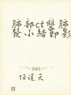 肺部ct双肺多发小结节影