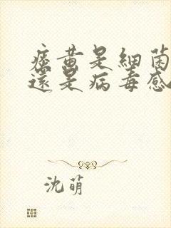 痰黄是细菌感染还是病毒感染引起的