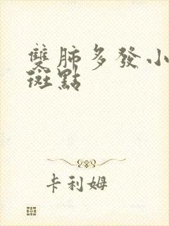 双肺多发小结节斑点