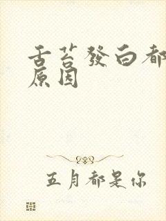 舌苔发白都什么原因