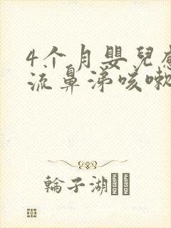 4个月婴儿感冒流鼻涕咳嗽