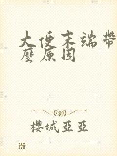 大便末端带血什么原因封面