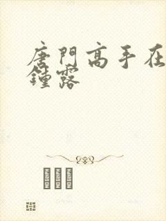 唐门高手在异世钟露封面