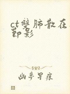 ct双肺散在结节影封面