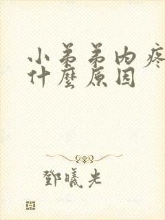 小弟弟内疼痛是什么原因封面