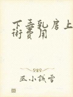 下垂乳房上提手术费用