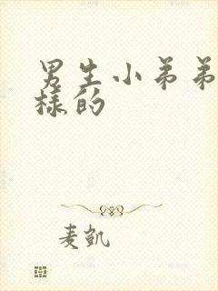 男生小弟弟怎么样的