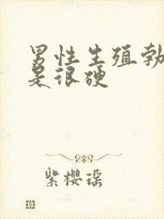 男性生殖勃起不是很硬