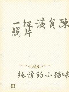 一级演员陈丽云照片封面