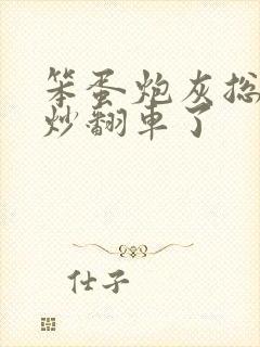 笨蛋炮灰总被爆炒翻车了