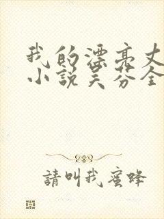 我的漂亮丈母娘小说吴芬全文阅读封面