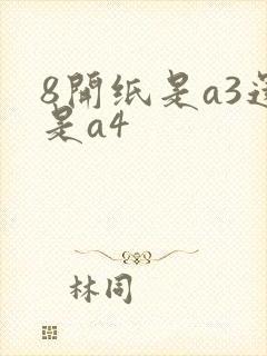 8开纸是a3还是a4