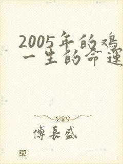 2005年的鸡一生的命运如何封面
