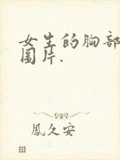 女生的胸部高清图片.封面