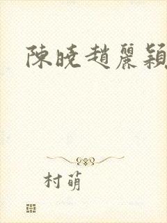 陈晓赵丽颖访谈封面