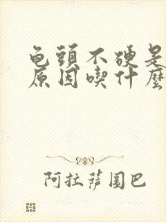 龟头不硬是什么原因吃什么药好封面