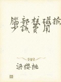 脑部核磁检查多少钱费用