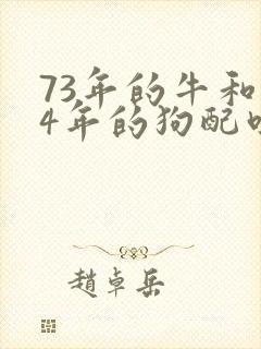 73年的牛和94年的狗配吗